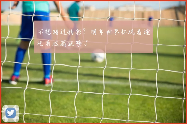 不想错过精彩?明年世界杯观看途径看这篇就够了