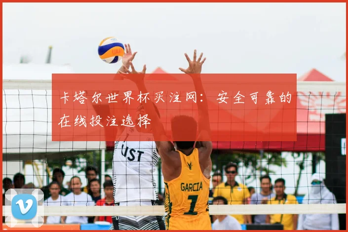卡塔尔世界杯买注网:安全可靠的在线投注选择