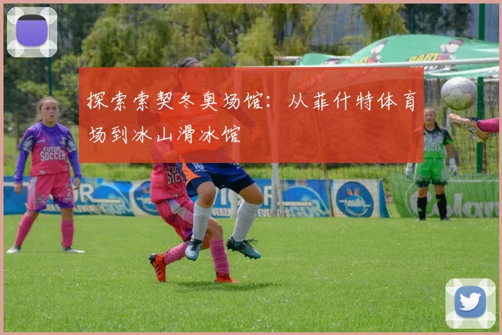 探索索契冬奥场馆：从菲什特体育场到冰山滑冰馆