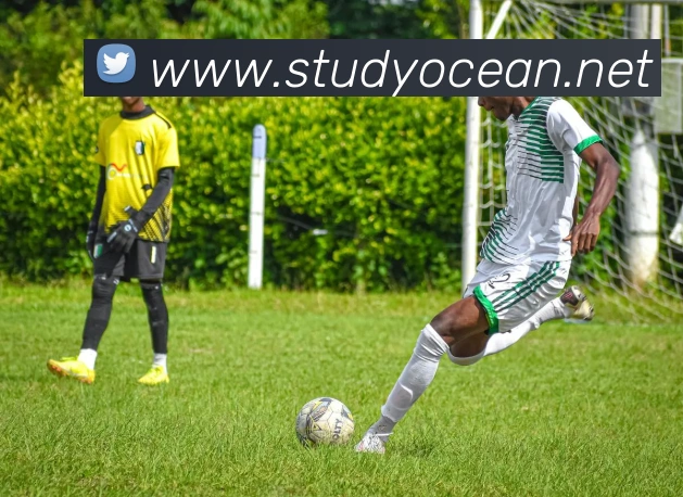 完美体育在线登录入口APP 体育赛事宣传图